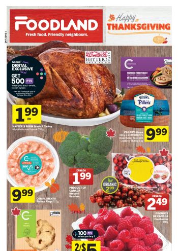 Foodland offer thumb