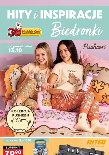 Biedronka offer thumb