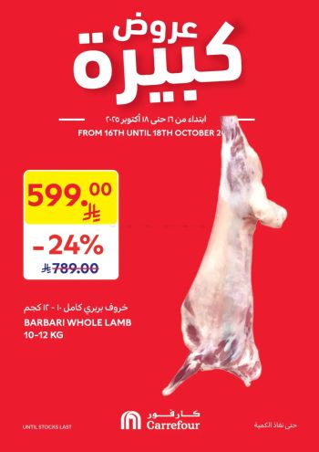 Carrefour offer thumb