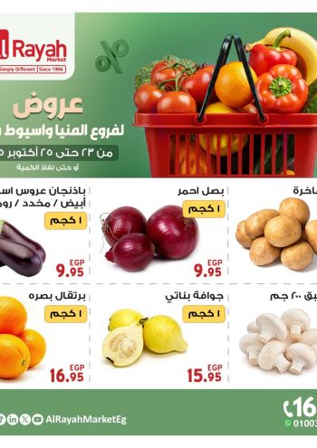 Al Raya Market offer thumb