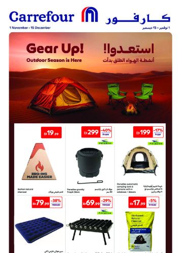 Carrefour offer thumb